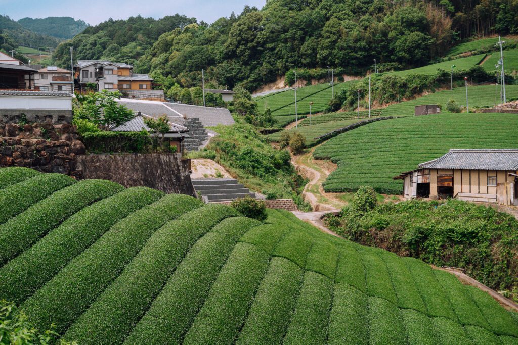 roadtrip door Japan – reizen in Japan – Japans landschap – natuur in Japan – cultuur in Japan – traditionele Japanse architectuur – Japanse tempel – streetfood in Japan – Japanse bergen – reizen met de auto in Japan – lokale ervaringen Japan – authentiek Japan – verborgen plekken Japan – Japanse stad – landelijke Japan – Japan in de herfst – Japan in de lente – avontuurlijke reis Japan – uitzicht in Japan – Japan Nomads reis