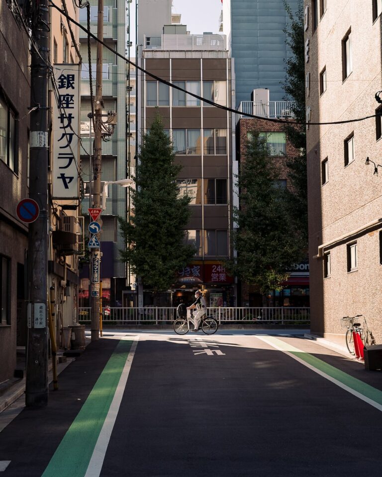 roadtrip door Japan – reizen in Japan – Japans landschap – natuur in Japan – cultuur in Japan – traditionele Japanse architectuur – Japanse tempel – streetfood in Japan – Japanse bergen – reizen met de auto in Japan – lokale ervaringen Japan – authentiek Japan – verborgen plekken Japan – Japanse stad – landelijke Japan – Japan in de herfst – Japan in de lente – avontuurlijke reis Japan – uitzicht in Japan – Japan Nomads reis