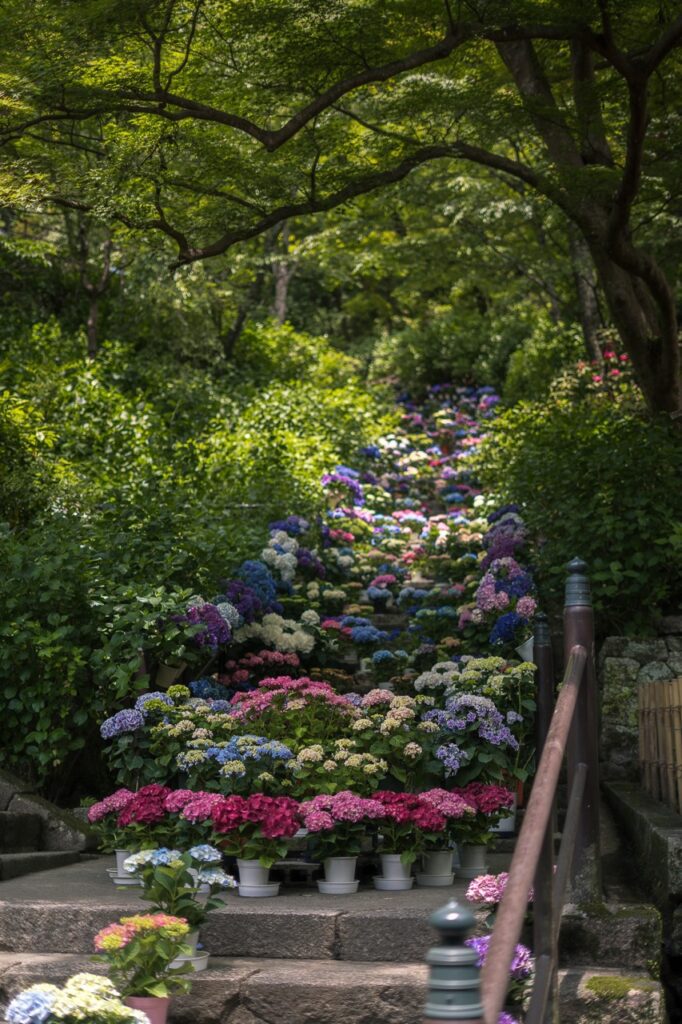 roadtrip door Japan – reizen in Japan – Japans landschap – natuur in Japan – cultuur in Japan – traditionele Japanse architectuur – Japanse tempel – streetfood in Japan – Japanse bergen – reizen met de auto in Japan – lokale ervaringen Japan – authentiek Japan – verborgen plekken Japan – Japanse stad – landelijke Japan – Japan in de herfst – Japan in de lente – avontuurlijke reis Japan – uitzicht in Japan – Japan Nomads reis